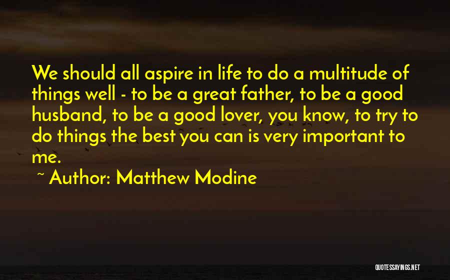 Matthew Modine Quotes: We Should All Aspire In Life To Do A Multitude Of Things Well - To Be A Great Father, To