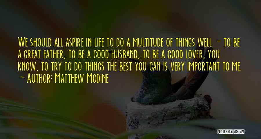 Matthew Modine Quotes: We Should All Aspire In Life To Do A Multitude Of Things Well - To Be A Great Father, To