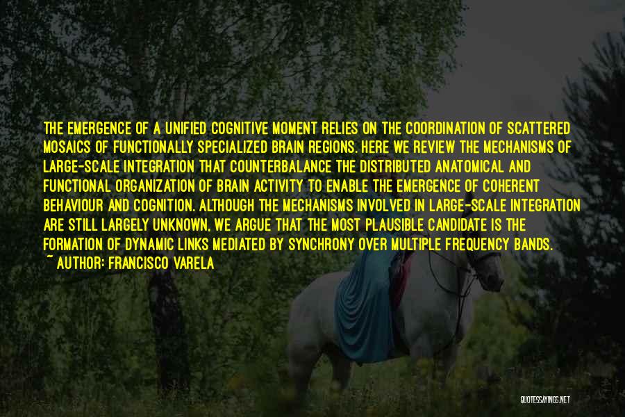 Francisco Varela Quotes: The Emergence Of A Unified Cognitive Moment Relies On The Coordination Of Scattered Mosaics Of Functionally Specialized Brain Regions. Here