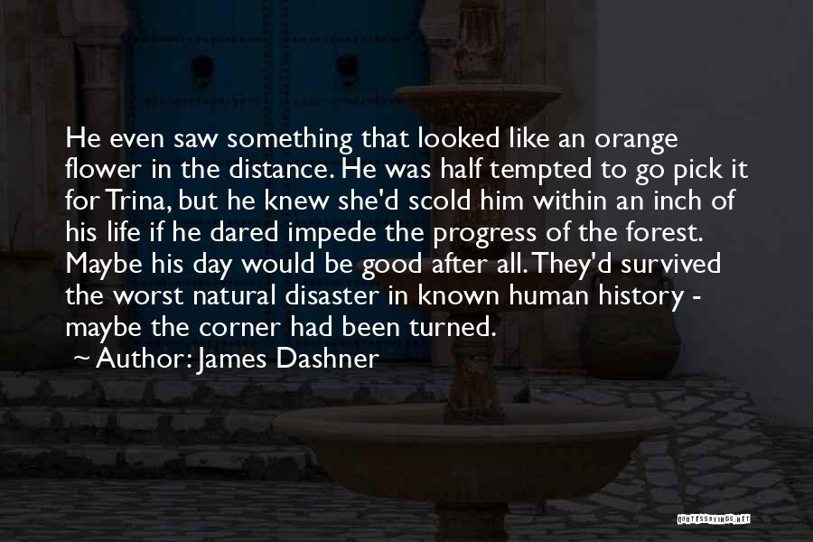 James Dashner Quotes: He Even Saw Something That Looked Like An Orange Flower In The Distance. He Was Half Tempted To Go Pick
