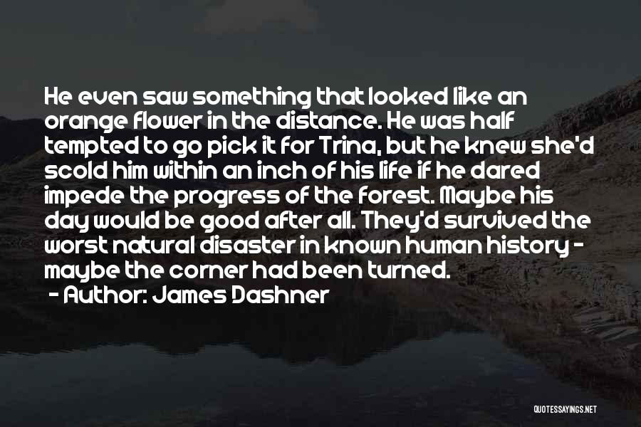 James Dashner Quotes: He Even Saw Something That Looked Like An Orange Flower In The Distance. He Was Half Tempted To Go Pick