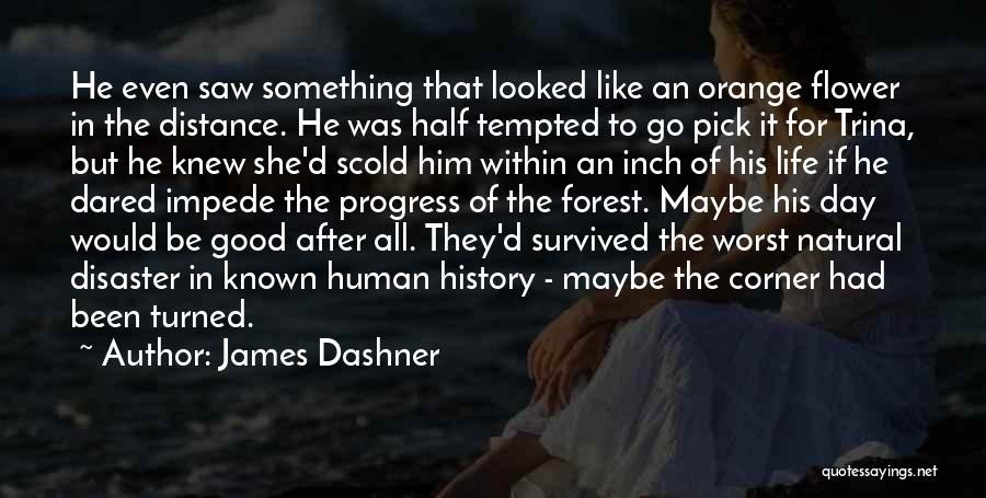 James Dashner Quotes: He Even Saw Something That Looked Like An Orange Flower In The Distance. He Was Half Tempted To Go Pick