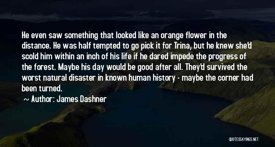James Dashner Quotes: He Even Saw Something That Looked Like An Orange Flower In The Distance. He Was Half Tempted To Go Pick