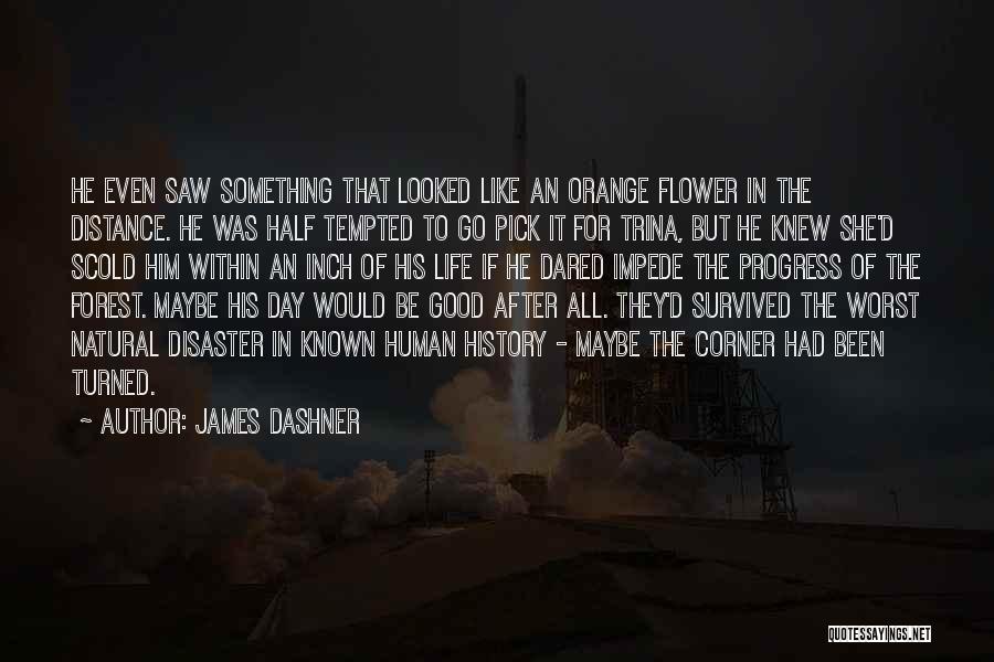 James Dashner Quotes: He Even Saw Something That Looked Like An Orange Flower In The Distance. He Was Half Tempted To Go Pick