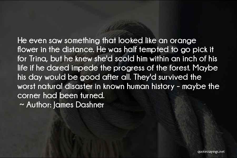 James Dashner Quotes: He Even Saw Something That Looked Like An Orange Flower In The Distance. He Was Half Tempted To Go Pick