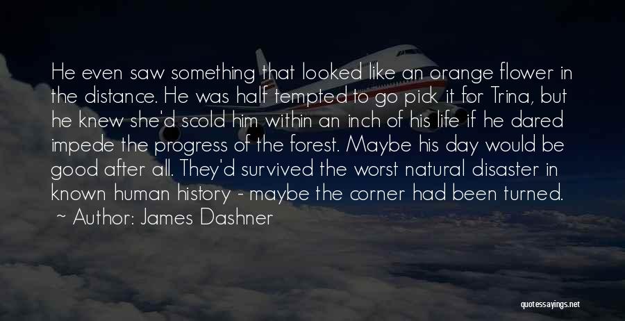 James Dashner Quotes: He Even Saw Something That Looked Like An Orange Flower In The Distance. He Was Half Tempted To Go Pick