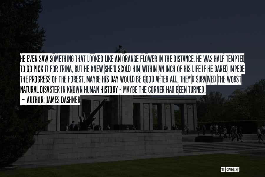 James Dashner Quotes: He Even Saw Something That Looked Like An Orange Flower In The Distance. He Was Half Tempted To Go Pick