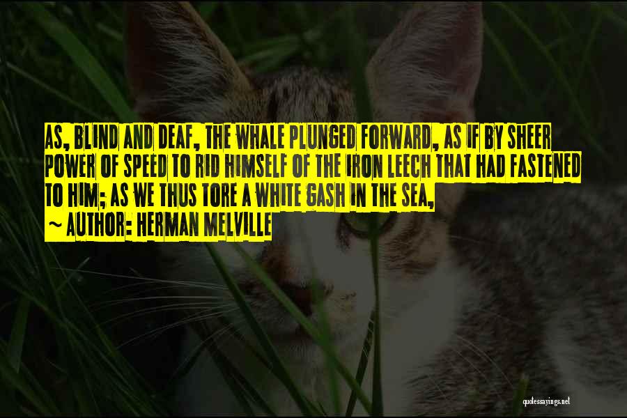 Herman Melville Quotes: As, Blind And Deaf, The Whale Plunged Forward, As If By Sheer Power Of Speed To Rid Himself Of The