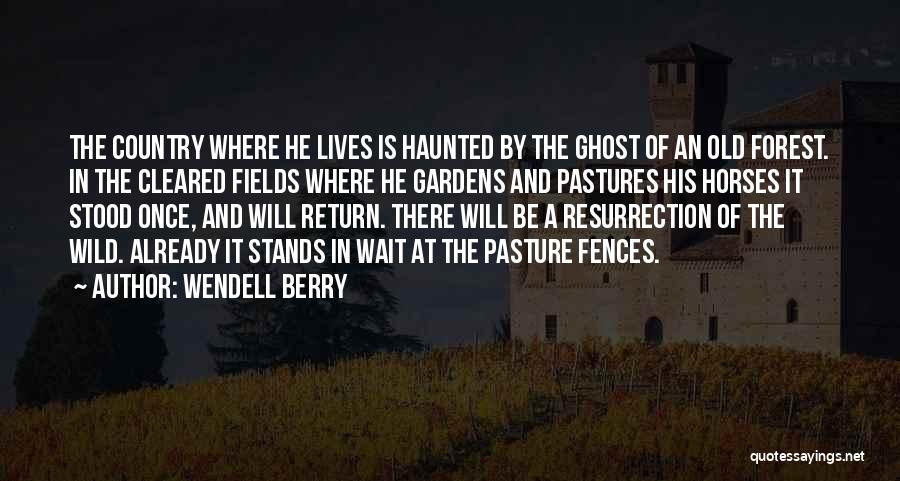 Wendell Berry Quotes: The Country Where He Lives Is Haunted By The Ghost Of An Old Forest. In The Cleared Fields Where He