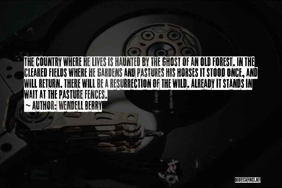 Wendell Berry Quotes: The Country Where He Lives Is Haunted By The Ghost Of An Old Forest. In The Cleared Fields Where He