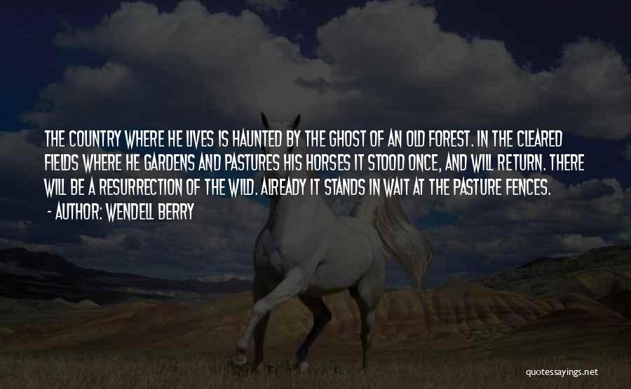 Wendell Berry Quotes: The Country Where He Lives Is Haunted By The Ghost Of An Old Forest. In The Cleared Fields Where He