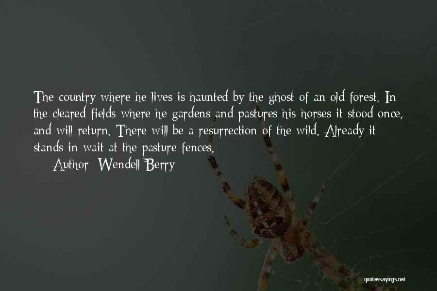 Wendell Berry Quotes: The Country Where He Lives Is Haunted By The Ghost Of An Old Forest. In The Cleared Fields Where He