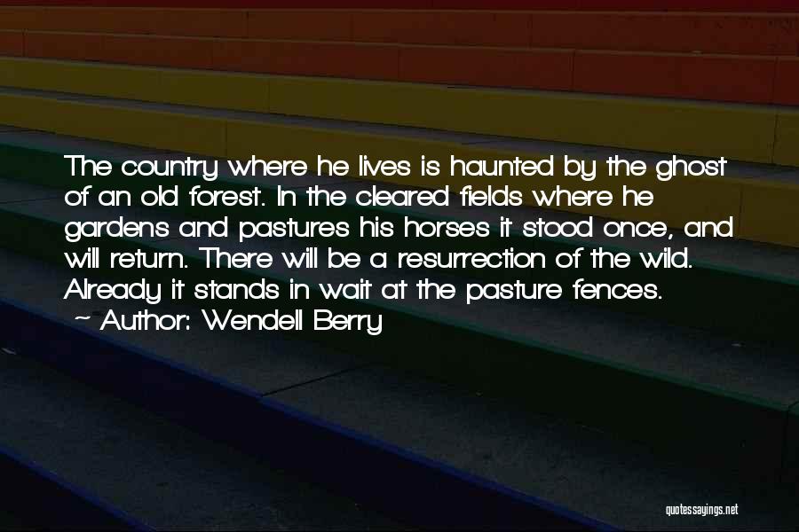 Wendell Berry Quotes: The Country Where He Lives Is Haunted By The Ghost Of An Old Forest. In The Cleared Fields Where He