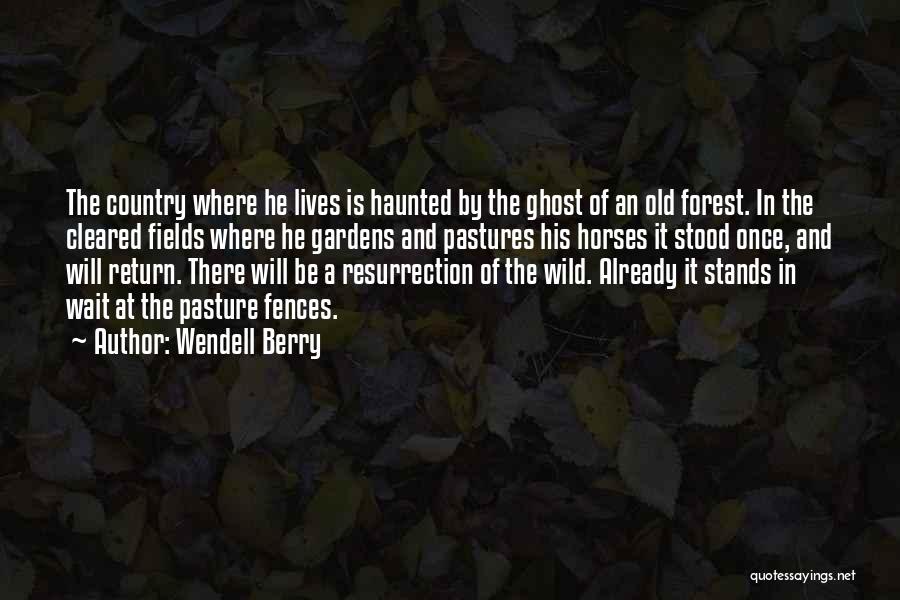 Wendell Berry Quotes: The Country Where He Lives Is Haunted By The Ghost Of An Old Forest. In The Cleared Fields Where He