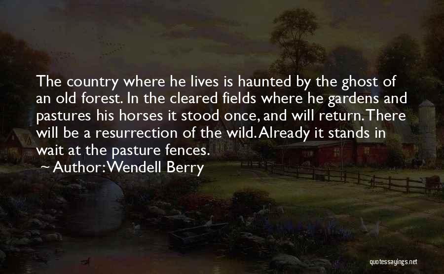 Wendell Berry Quotes: The Country Where He Lives Is Haunted By The Ghost Of An Old Forest. In The Cleared Fields Where He