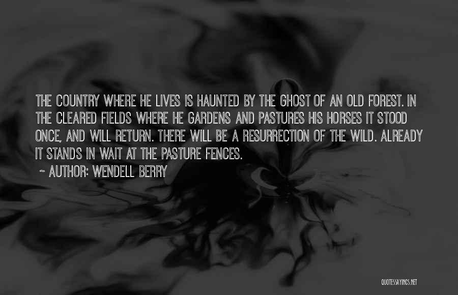 Wendell Berry Quotes: The Country Where He Lives Is Haunted By The Ghost Of An Old Forest. In The Cleared Fields Where He