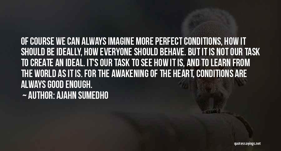 Ajahn Sumedho Quotes: Of Course We Can Always Imagine More Perfect Conditions, How It Should Be Ideally, How Everyone Should Behave. But It