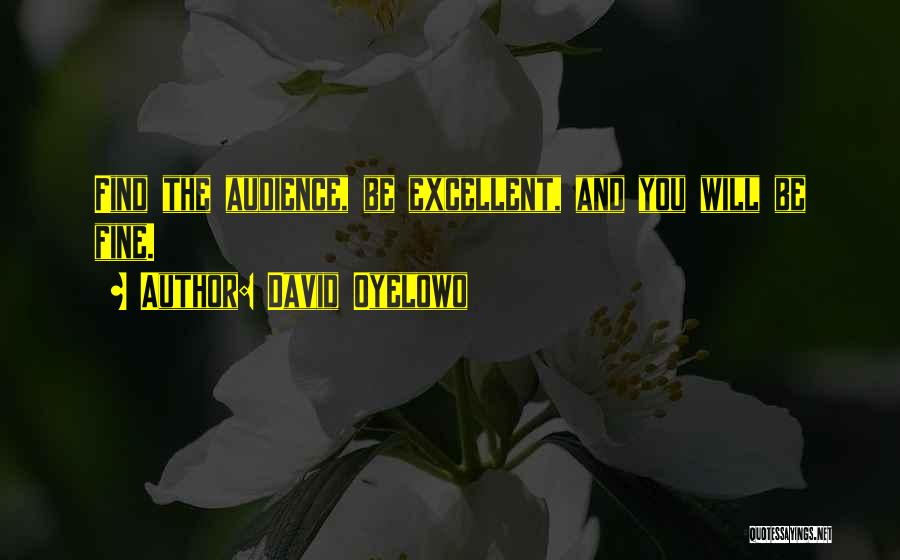 David Oyelowo Quotes: Find The Audience, Be Excellent, And You Will Be Fine.