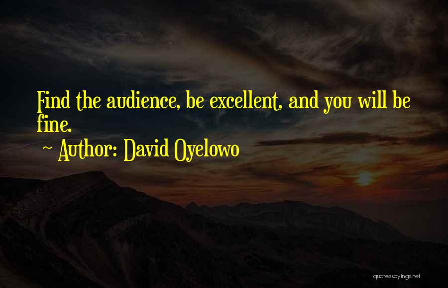 David Oyelowo Quotes: Find The Audience, Be Excellent, And You Will Be Fine.
