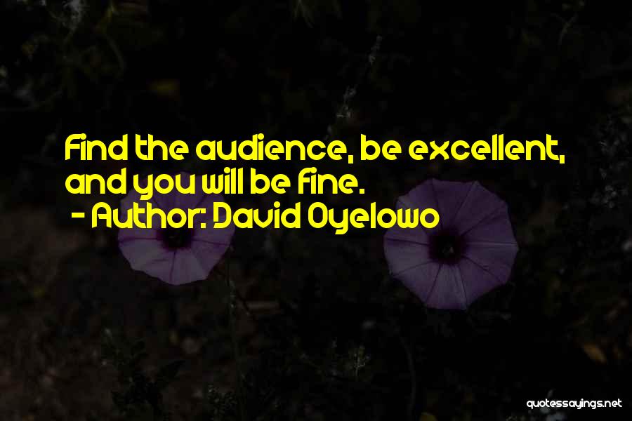 David Oyelowo Quotes: Find The Audience, Be Excellent, And You Will Be Fine.