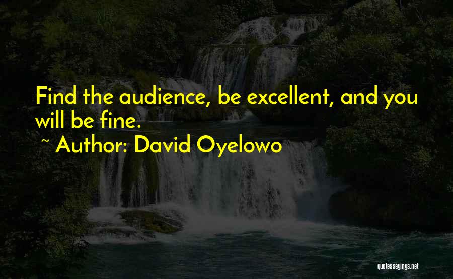 David Oyelowo Quotes: Find The Audience, Be Excellent, And You Will Be Fine.