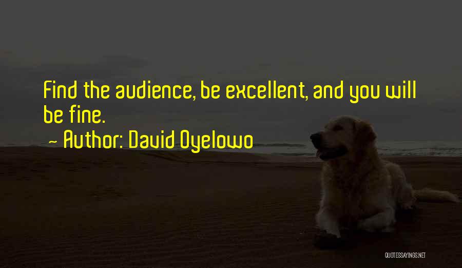 David Oyelowo Quotes: Find The Audience, Be Excellent, And You Will Be Fine.