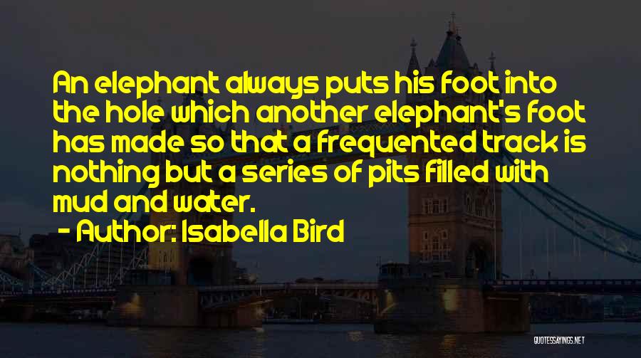 Isabella Bird Quotes: An Elephant Always Puts His Foot Into The Hole Which Another Elephant's Foot Has Made So That A Frequented Track
