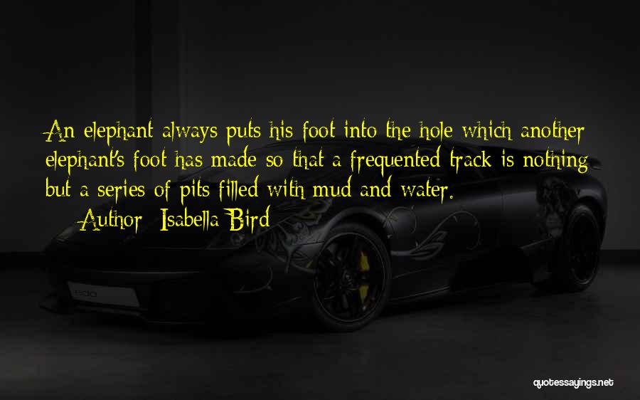 Isabella Bird Quotes: An Elephant Always Puts His Foot Into The Hole Which Another Elephant's Foot Has Made So That A Frequented Track