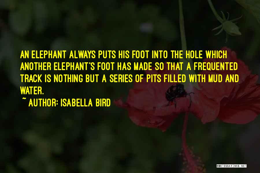 Isabella Bird Quotes: An Elephant Always Puts His Foot Into The Hole Which Another Elephant's Foot Has Made So That A Frequented Track