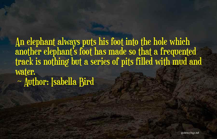Isabella Bird Quotes: An Elephant Always Puts His Foot Into The Hole Which Another Elephant's Foot Has Made So That A Frequented Track