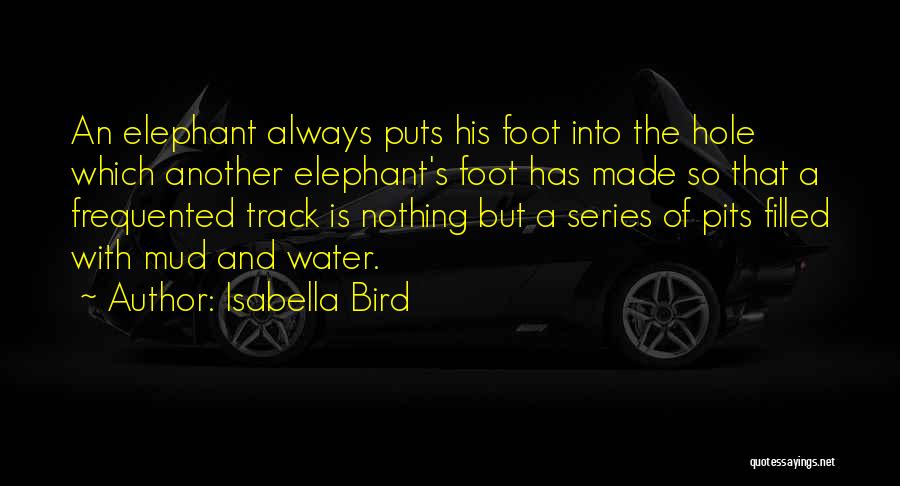 Isabella Bird Quotes: An Elephant Always Puts His Foot Into The Hole Which Another Elephant's Foot Has Made So That A Frequented Track