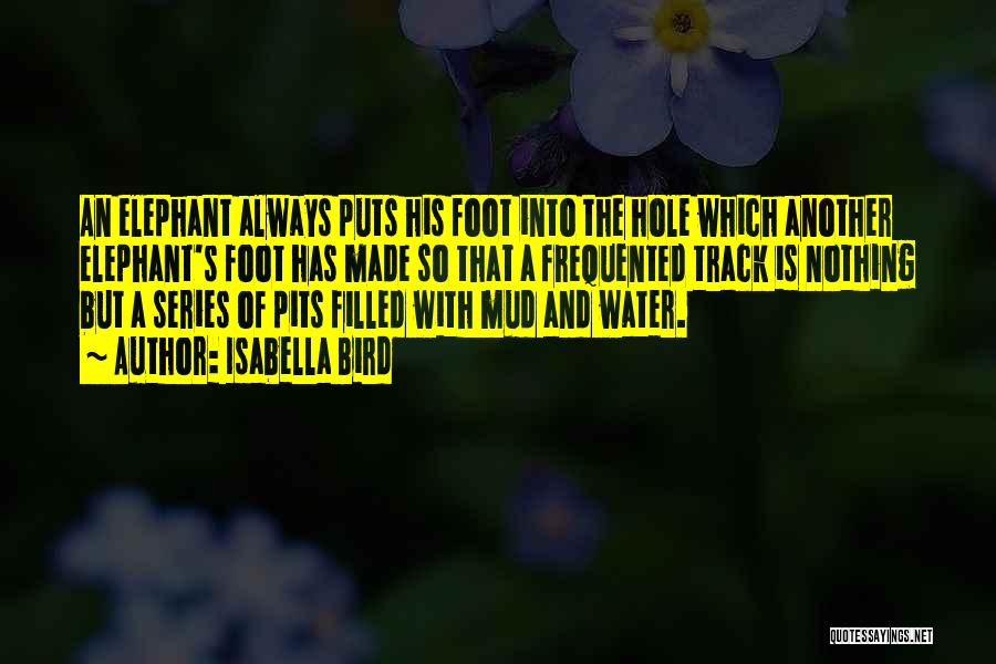 Isabella Bird Quotes: An Elephant Always Puts His Foot Into The Hole Which Another Elephant's Foot Has Made So That A Frequented Track