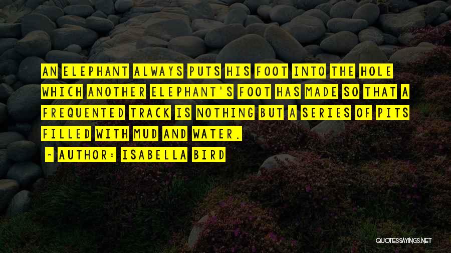 Isabella Bird Quotes: An Elephant Always Puts His Foot Into The Hole Which Another Elephant's Foot Has Made So That A Frequented Track