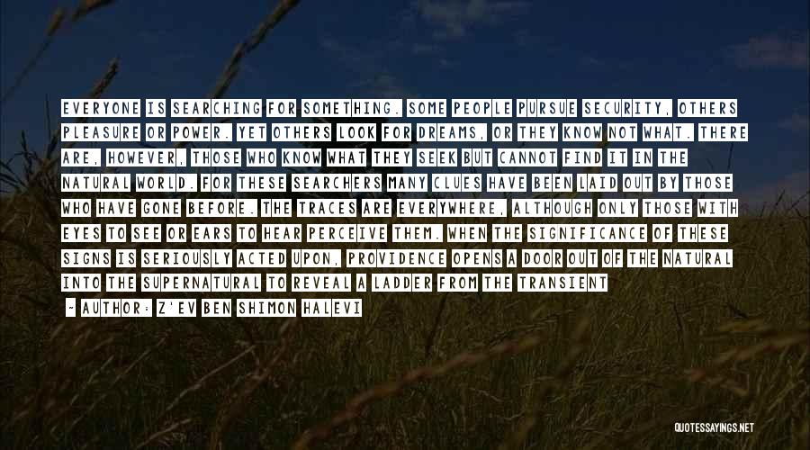 Z'ev Ben Shimon Halevi Quotes: Everyone Is Searching For Something. Some People Pursue Security, Others Pleasure Or Power. Yet Others Look For Dreams, Or They