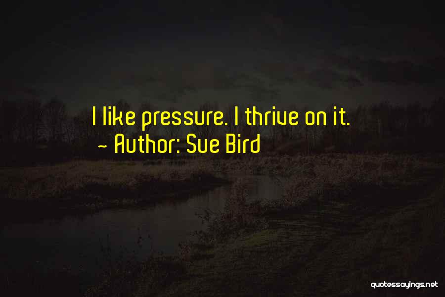 Sue Bird Quotes: I Like Pressure. I Thrive On It.