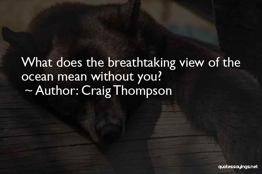 Craig Thompson Quotes: What Does The Breathtaking View Of The Ocean Mean Without You?