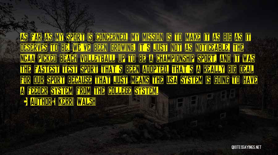 Kerri Walsh Quotes: As Far As My Sport Is Concerned, My Mission Is To Make It As Big As It Deserves To Be.