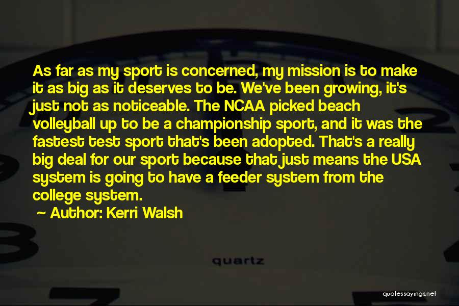 Kerri Walsh Quotes: As Far As My Sport Is Concerned, My Mission Is To Make It As Big As It Deserves To Be.