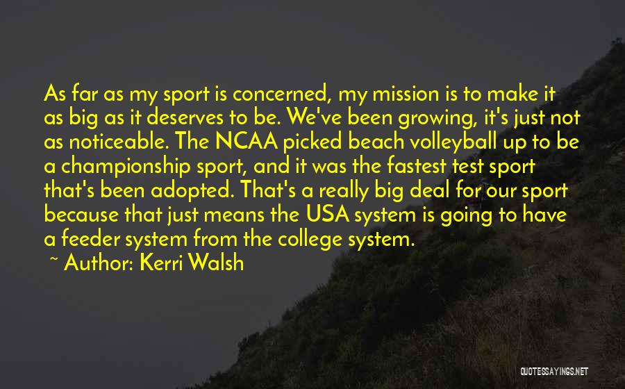 Kerri Walsh Quotes: As Far As My Sport Is Concerned, My Mission Is To Make It As Big As It Deserves To Be.