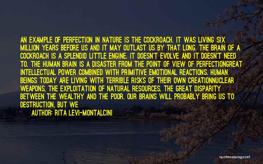 Rita Levi-Montalcini Quotes: An Example Of Perfection In Nature Is The Cockroach. It Was Living Six Million Years Before Us And It May