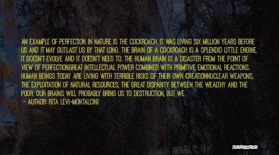 Rita Levi-Montalcini Quotes: An Example Of Perfection In Nature Is The Cockroach. It Was Living Six Million Years Before Us And It May