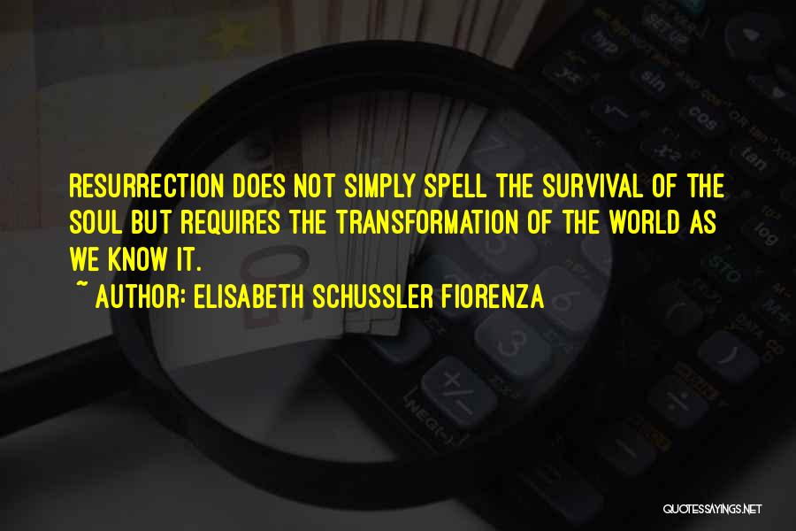 Elisabeth Schussler Fiorenza Quotes: Resurrection Does Not Simply Spell The Survival Of The Soul But Requires The Transformation Of The World As We Know
