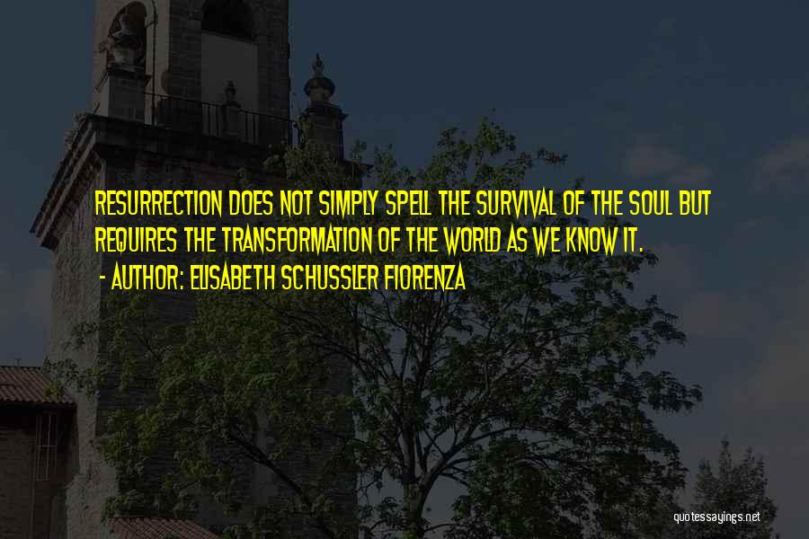 Elisabeth Schussler Fiorenza Quotes: Resurrection Does Not Simply Spell The Survival Of The Soul But Requires The Transformation Of The World As We Know