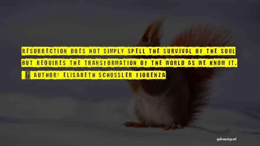 Elisabeth Schussler Fiorenza Quotes: Resurrection Does Not Simply Spell The Survival Of The Soul But Requires The Transformation Of The World As We Know