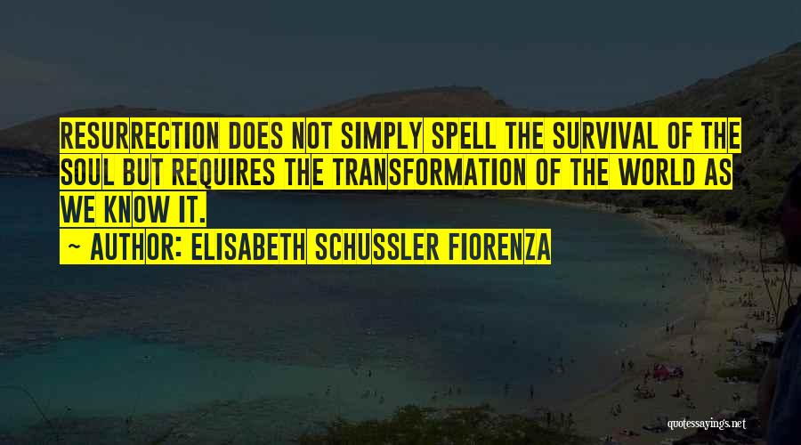 Elisabeth Schussler Fiorenza Quotes: Resurrection Does Not Simply Spell The Survival Of The Soul But Requires The Transformation Of The World As We Know