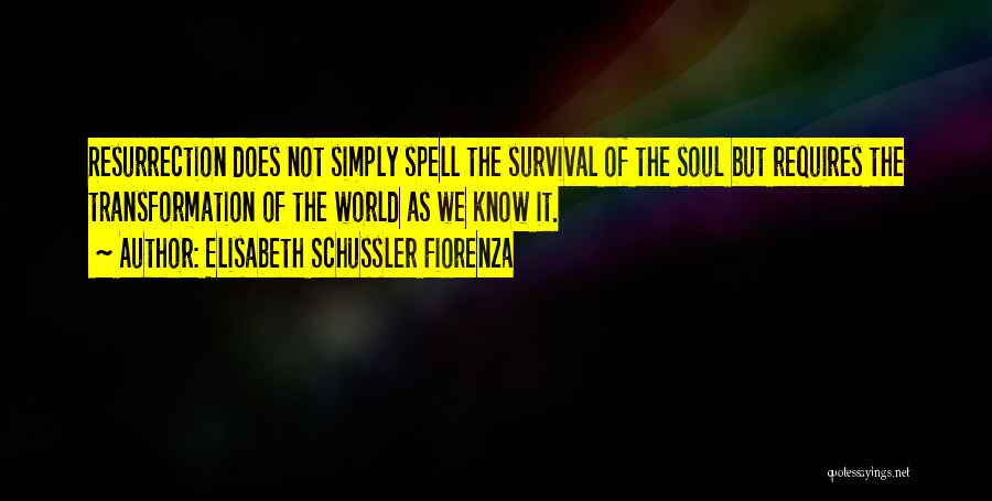 Elisabeth Schussler Fiorenza Quotes: Resurrection Does Not Simply Spell The Survival Of The Soul But Requires The Transformation Of The World As We Know