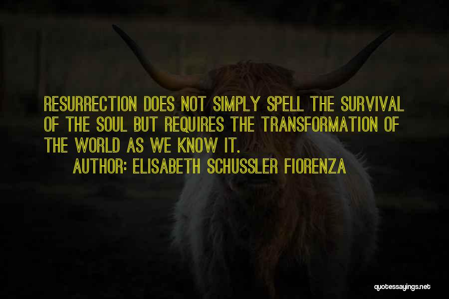 Elisabeth Schussler Fiorenza Quotes: Resurrection Does Not Simply Spell The Survival Of The Soul But Requires The Transformation Of The World As We Know