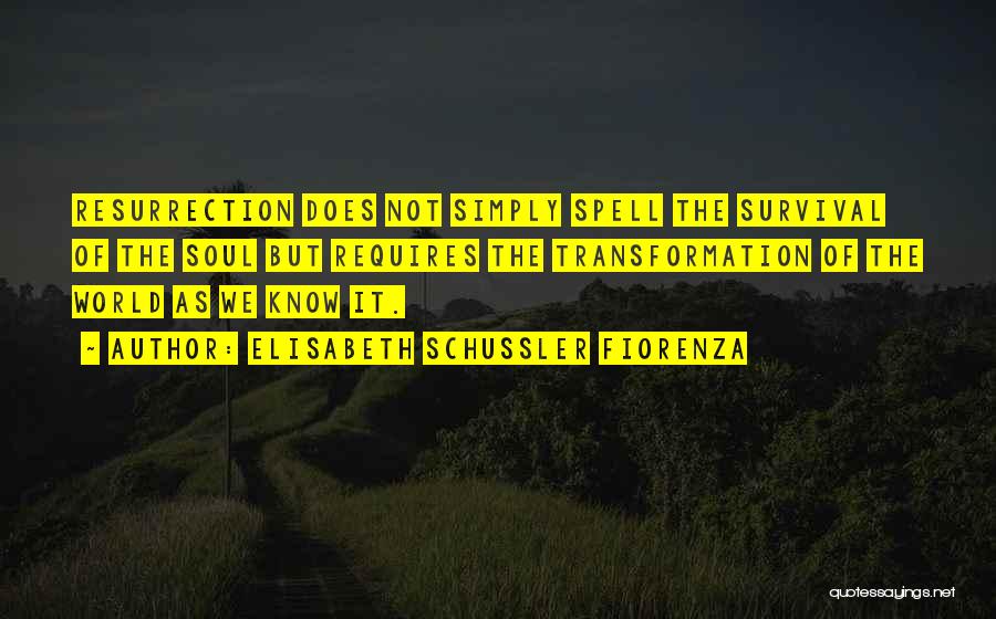 Elisabeth Schussler Fiorenza Quotes: Resurrection Does Not Simply Spell The Survival Of The Soul But Requires The Transformation Of The World As We Know