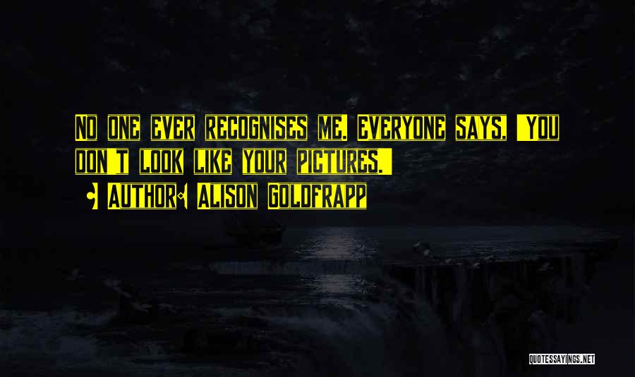 Alison Goldfrapp Quotes: No One Ever Recognises Me. Everyone Says, 'you Don't Look Like Your Pictures.'