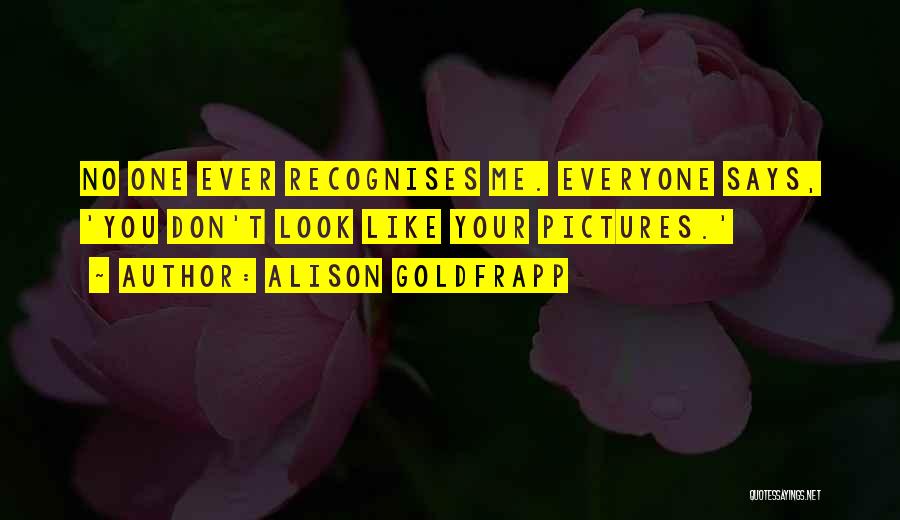 Alison Goldfrapp Quotes: No One Ever Recognises Me. Everyone Says, 'you Don't Look Like Your Pictures.'